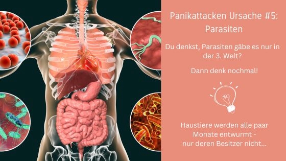 Parasiten als Ursache von Panikattacken?
